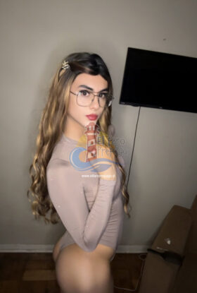 Stefi Trans Chilena